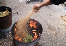 Raku Workshop 2022